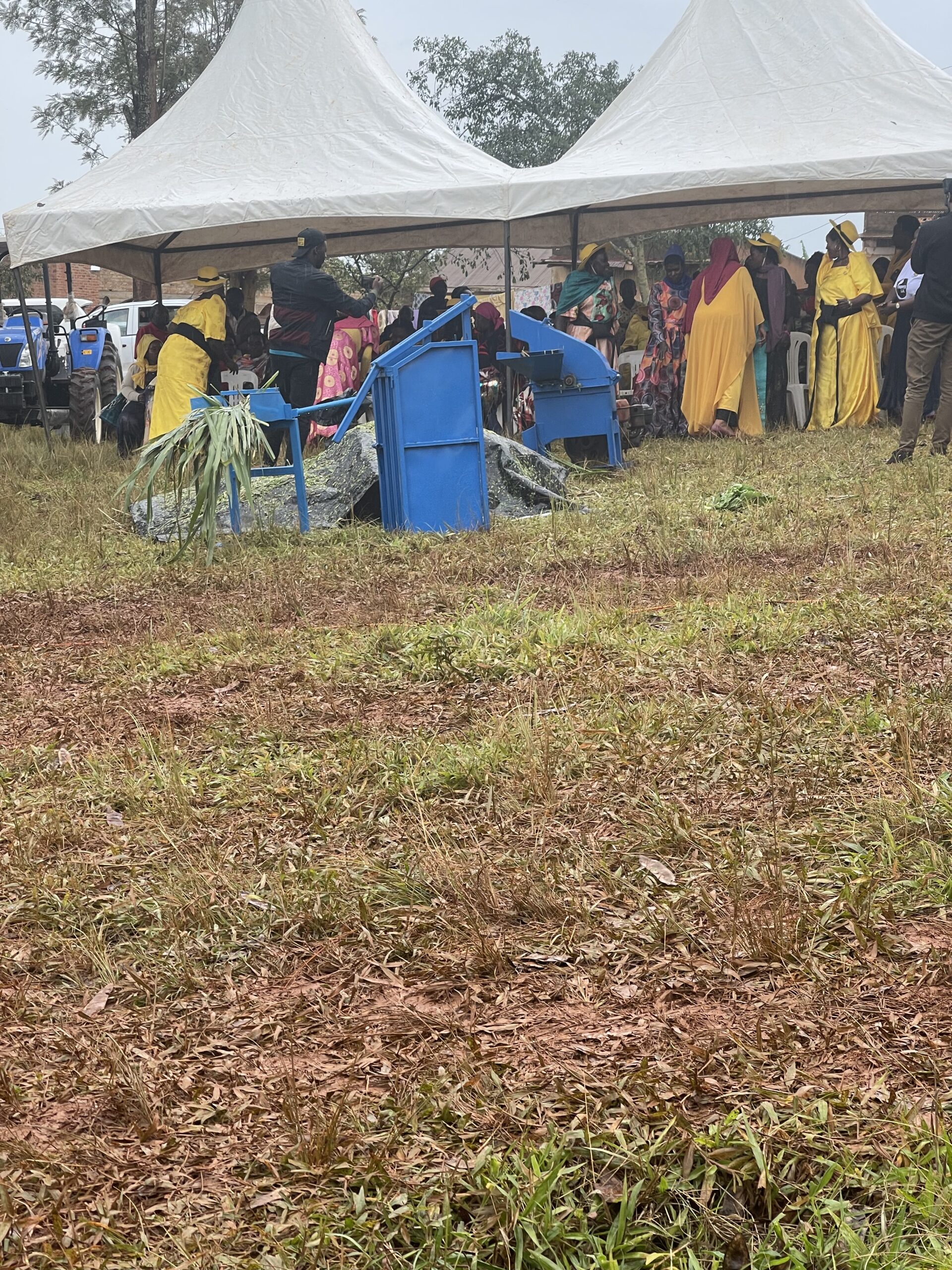 Hon Mary Begumisa teaching the community to make hey & silage